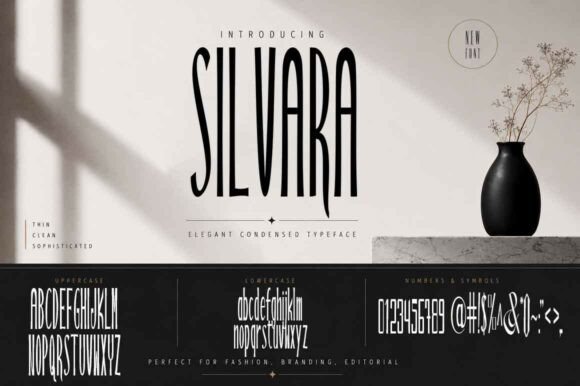 Bring Your Creations to Life with the Silvara Typeface